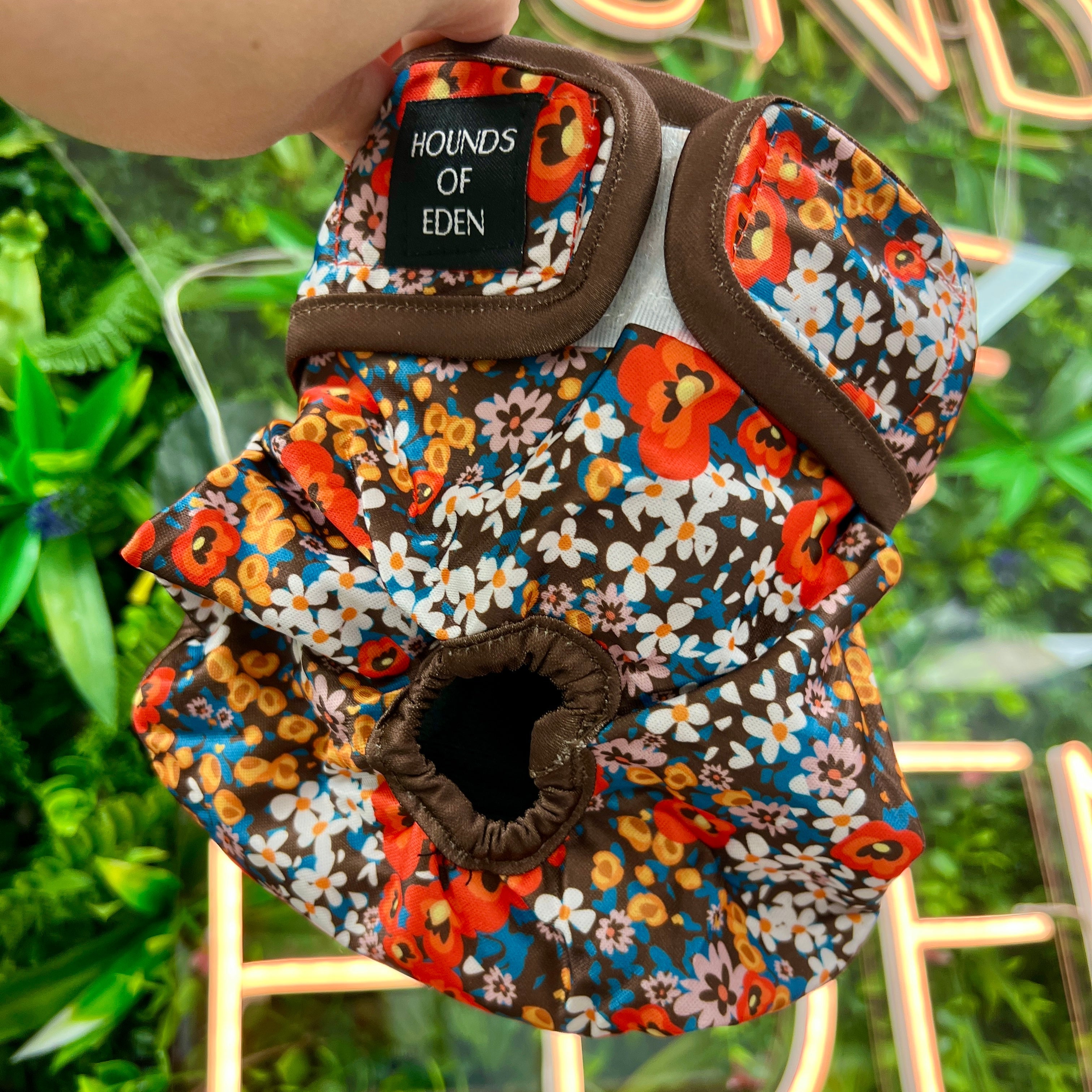 Pantalones de temporada para perros