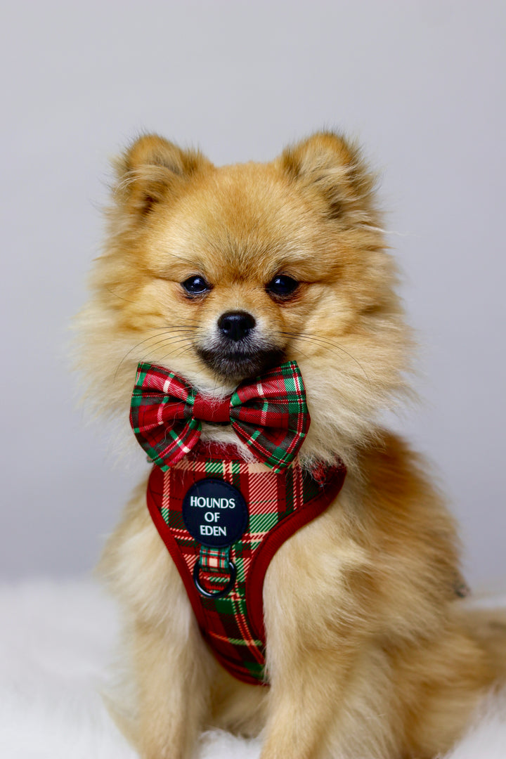 Tartan Me Up - Arnés para perros con diseño de tartán rojo y crema
