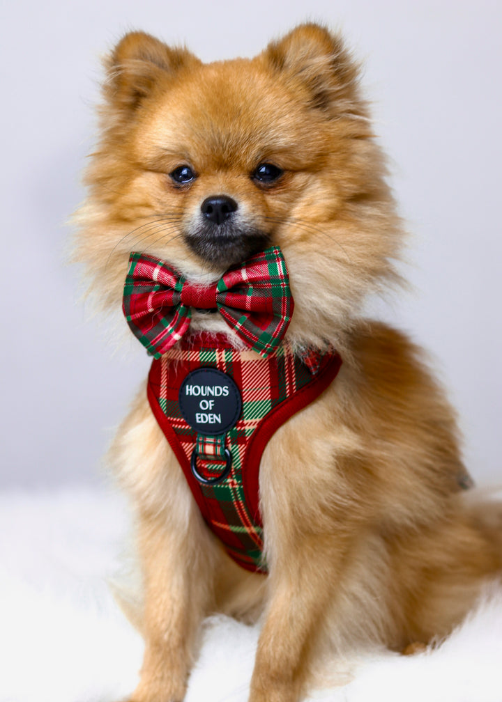 Tartan Me Up - Arnés para perros con diseño de tartán rojo y crema
