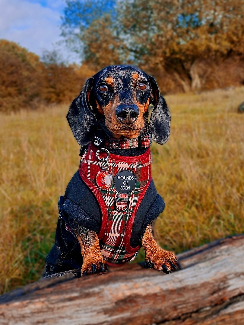 Tartan Me Up - Arnés para perros con diseño de tartán rojo y crema