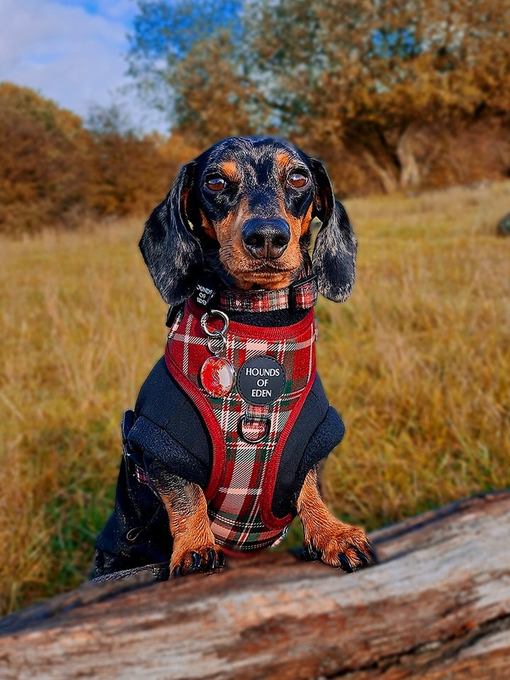 Tartan Me Up - Arnés para perros con diseño de tartán rojo y crema