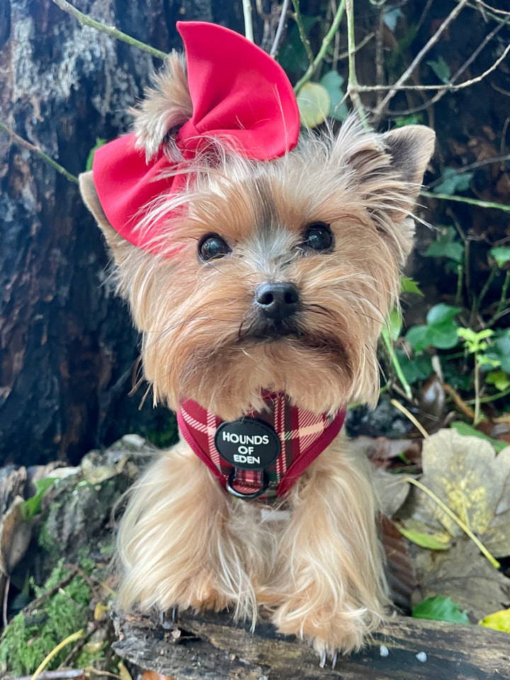 Tartan Me Up - Arnés para perros con diseño de tartán rojo y crema