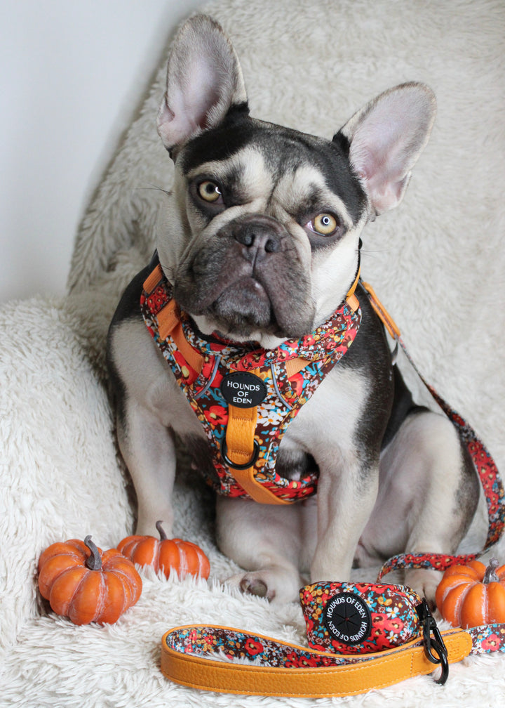 Collar de perro de cuero flor retro