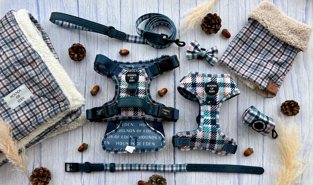 Soporte para bolsa de excrementos de diseño inteligente verde azulado