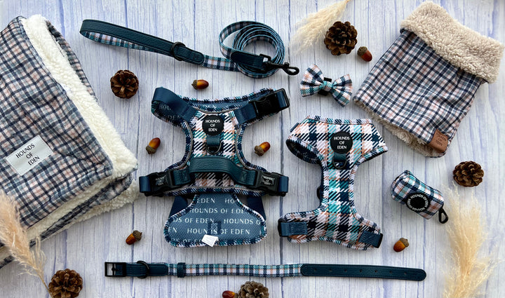 Soporte para bolsa de excrementos de diseño inteligente verde azulado