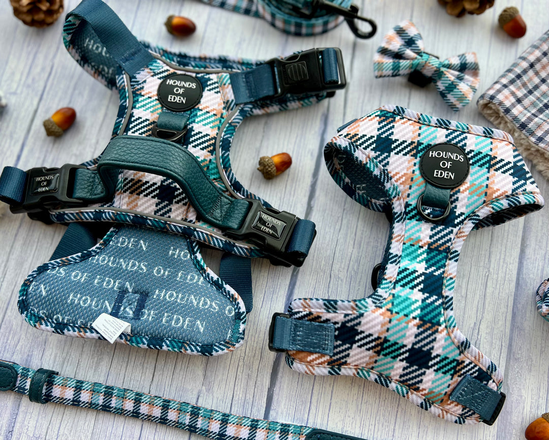 Soporte para bolsa de excrementos de diseño inteligente verde azulado