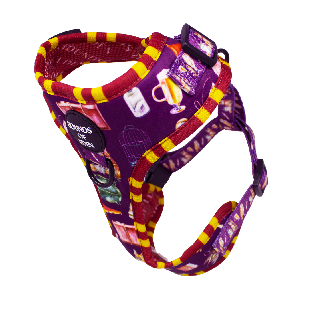 Harry Pawter Design Dog Collar