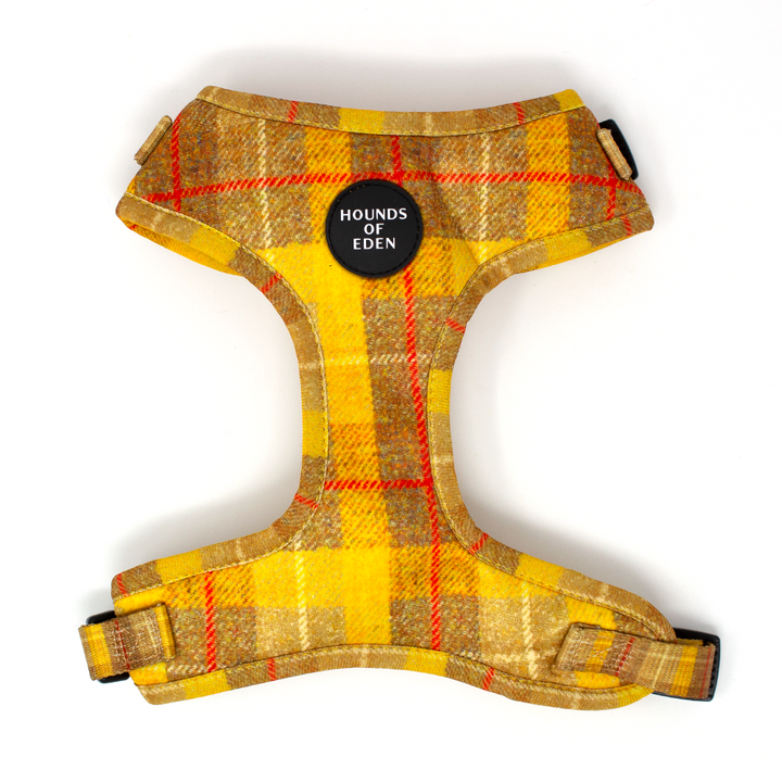 'Honey' - Yellow Check Dog Harness