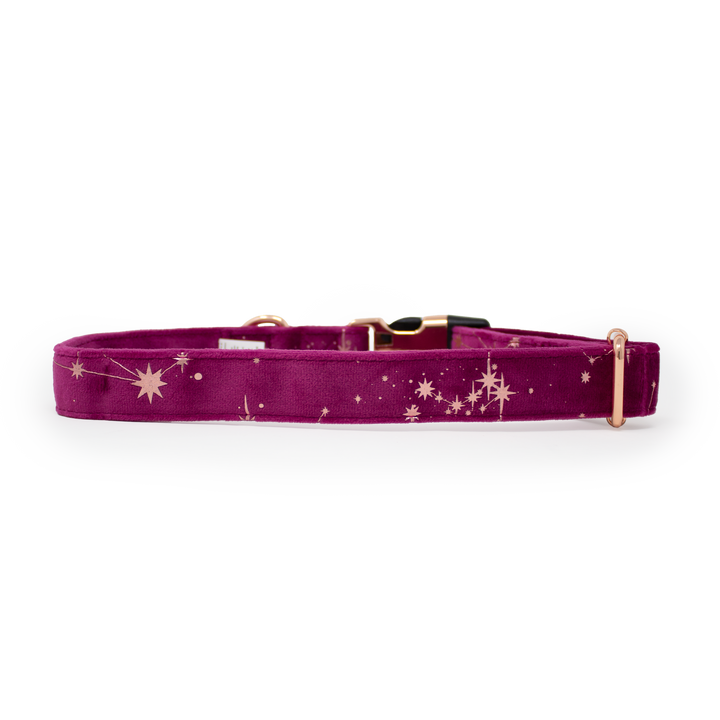 Magenta Sky Velvet Harness