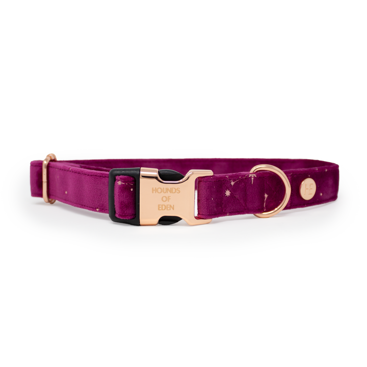 Magenta Sky Velvet Harness