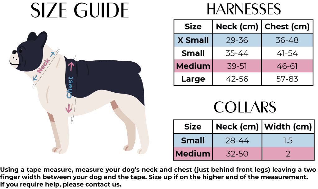 Bee You-tiful - Blue Gingham with Bees Dog Harness