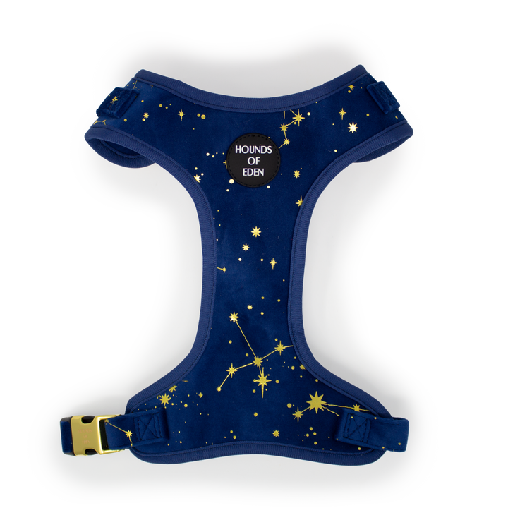 Sapphire Stars Velvet Collar