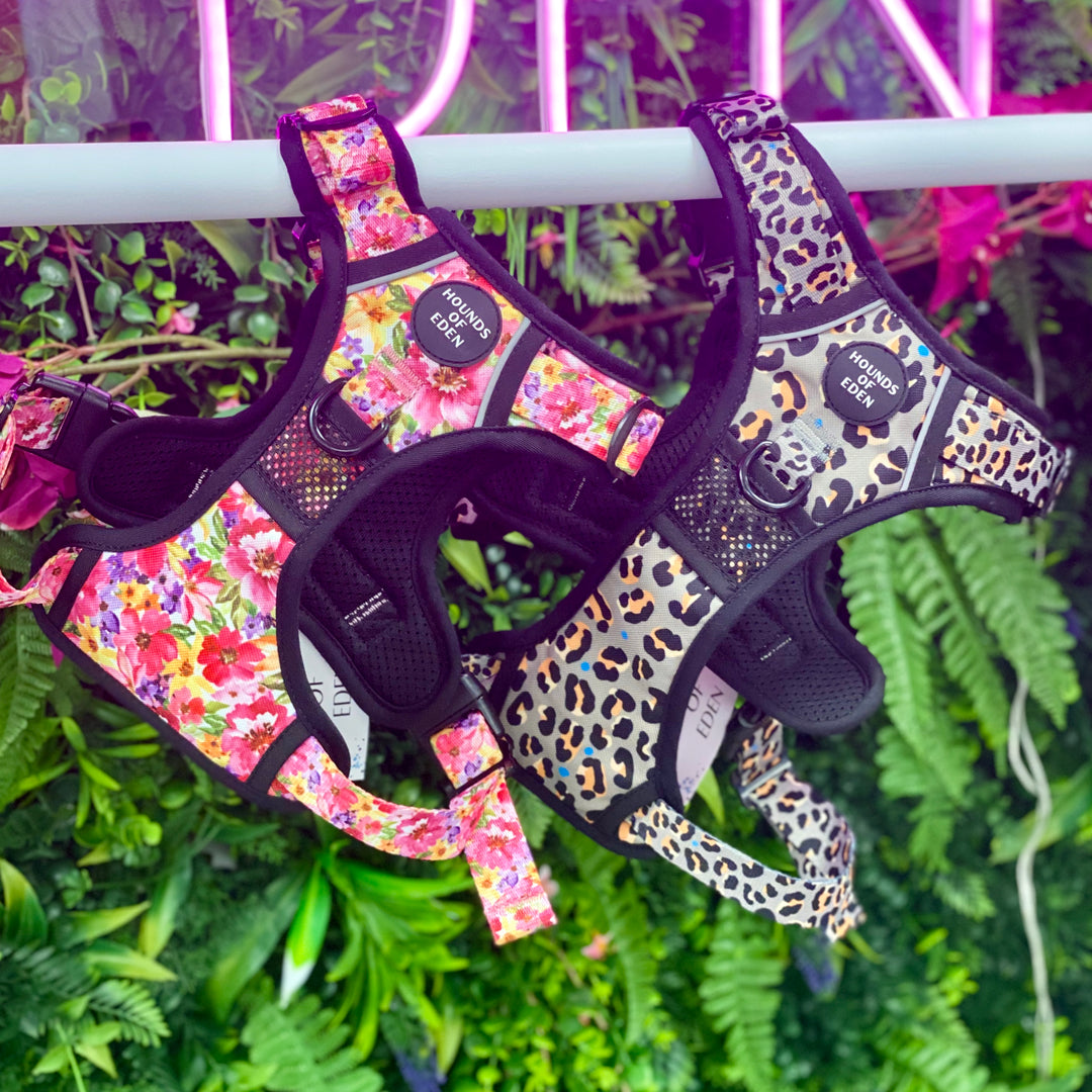 Supaw Strong™ 'Florentina' Utility Harness