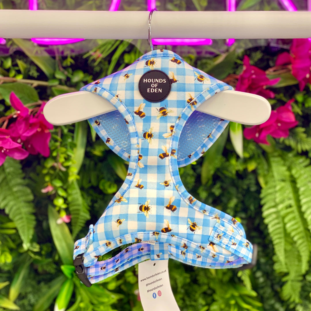Bee You-tiful - Blue Gingham with Bees Dog Harness