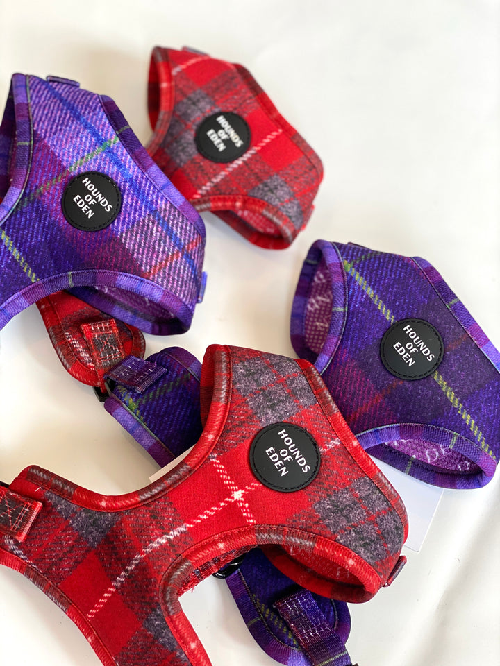 'Molly' - Pink & Purple Check Dog Harness