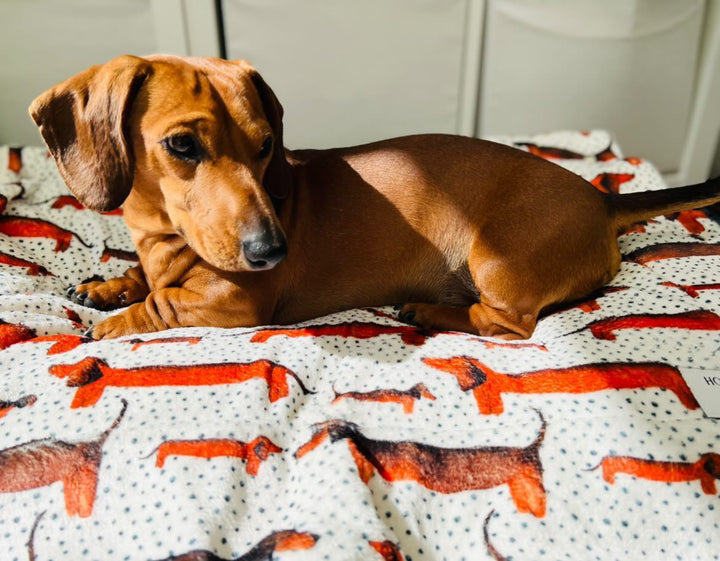 Sizzlin' Sausages Dog Snuggle Blanket