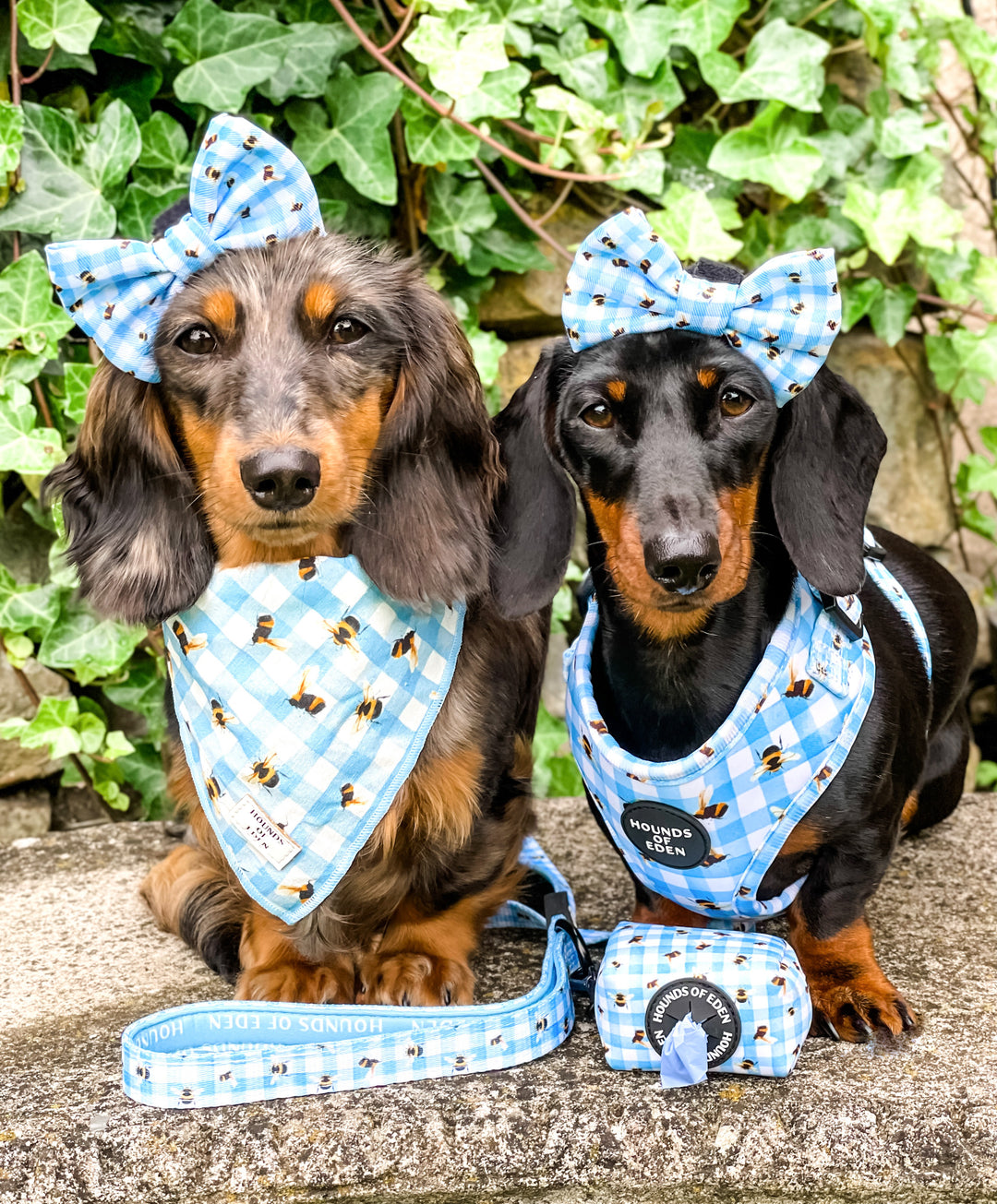 Bee You-tiful - Blue Gingham with Bees Dog Harness