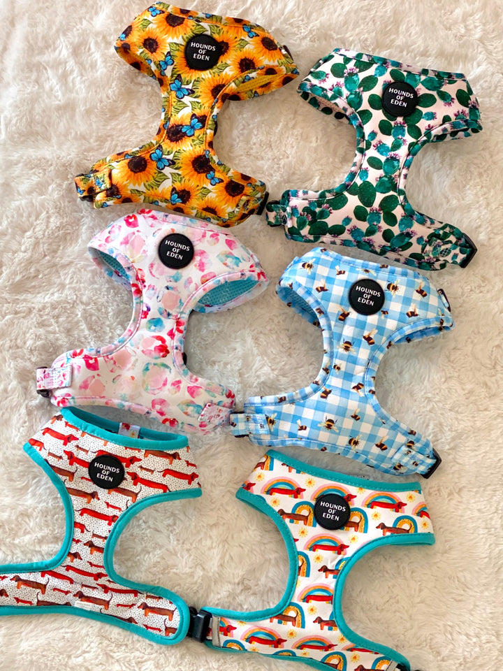 Bee You-tiful - Blue Gingham with Bees Dog Harness