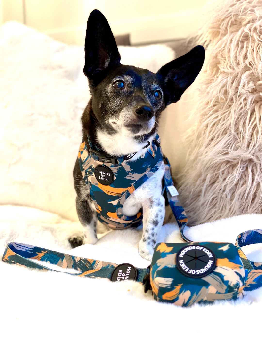 'Brush it Off' - Olive, Blue & Orange Camo Pattern Dog Harness