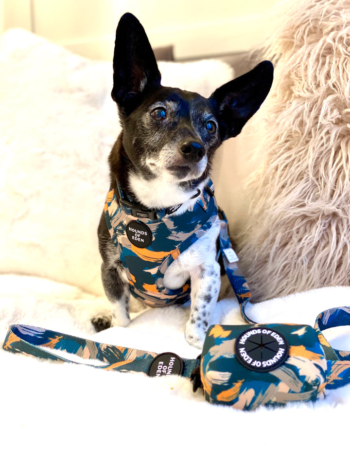 'Brush it Off' - Olive, Blue & Orange Camo Pattern Dog Harness