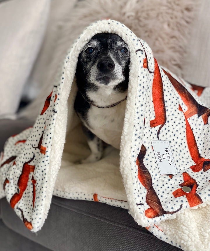 Sizzlin' Sausages Dog Snuggle Blanket
