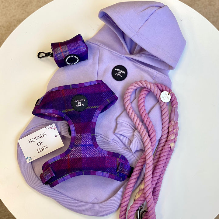 'Molly' - Pink & Purple Check Dog Harness