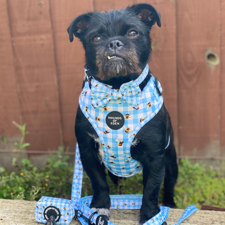 Bee You-tiful - Blue Gingham with Bees Dog Harness