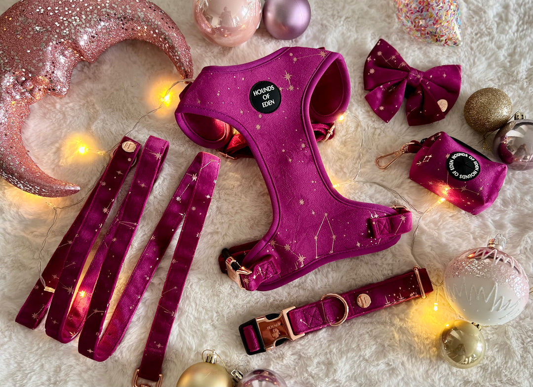 Magenta Sky Velvet Harness