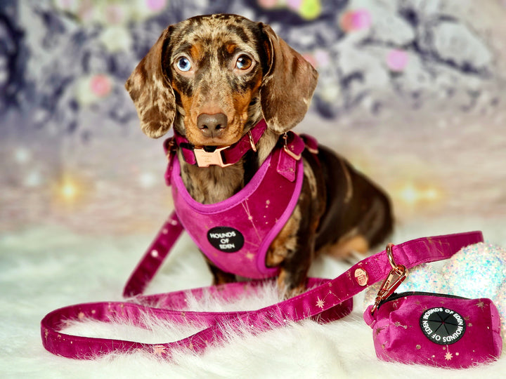 Magenta Sky Velvet Harness