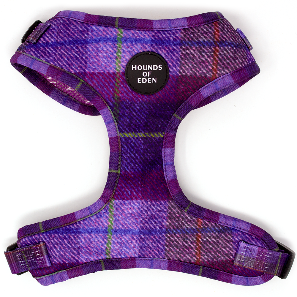 'Molly' - Pink & Purple Check Dog Harness