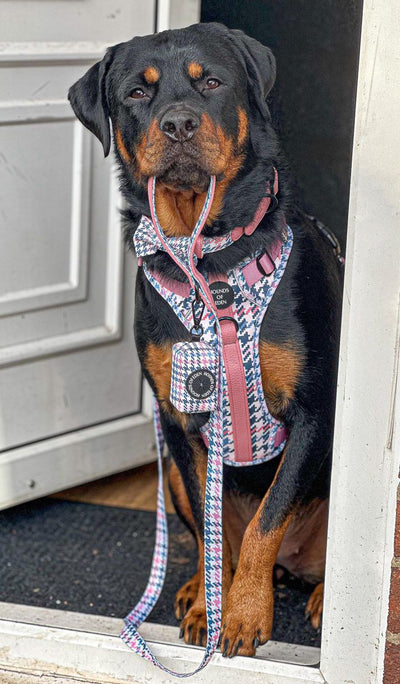 Pink Houndstooth Design Dog Bow Tie