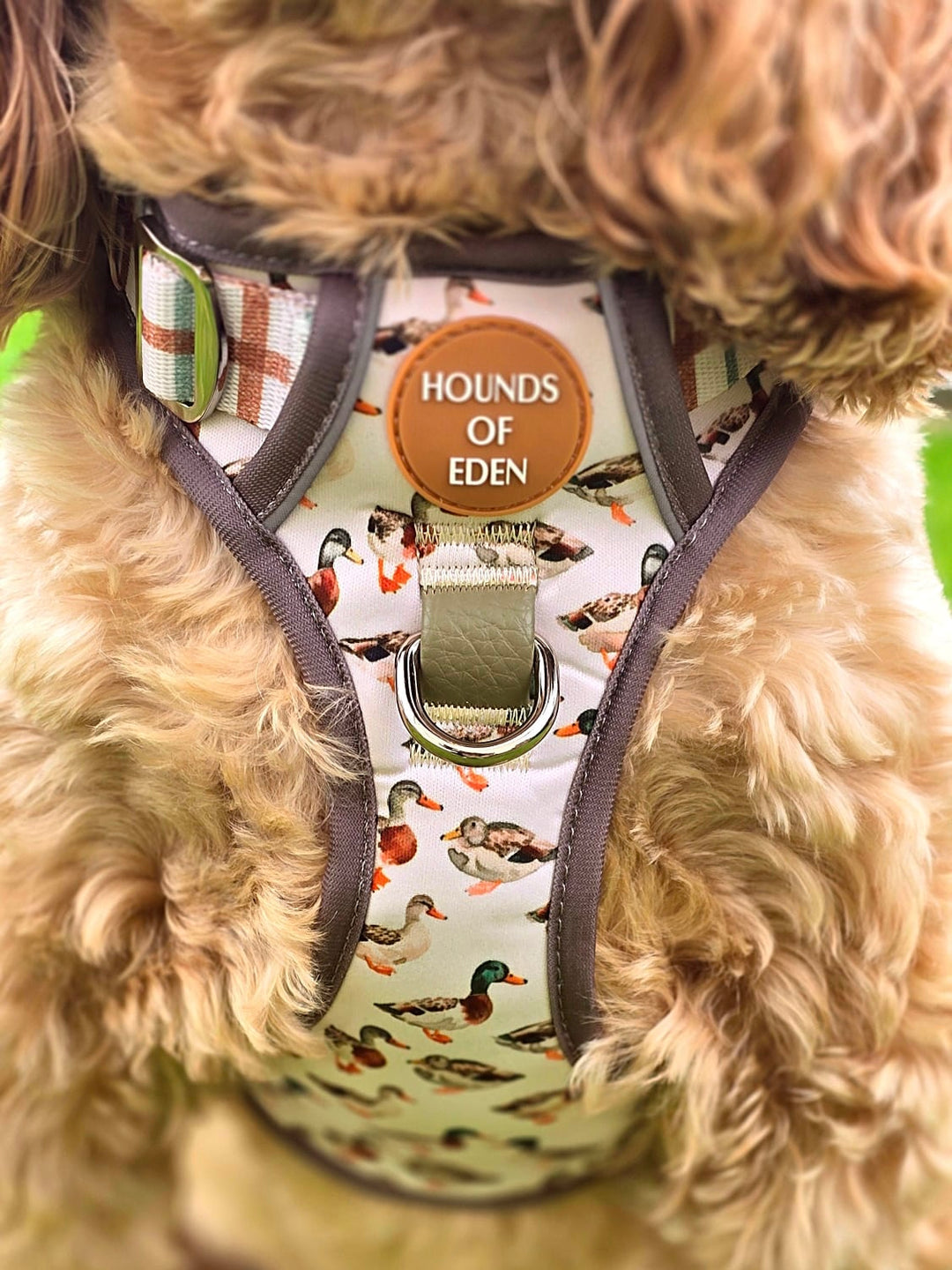 Puddle Ducks-  Supaw Strong™ Dog Harness (XS-XL)