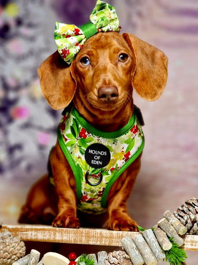 Winter Spruce & Berries Design Dog Collar