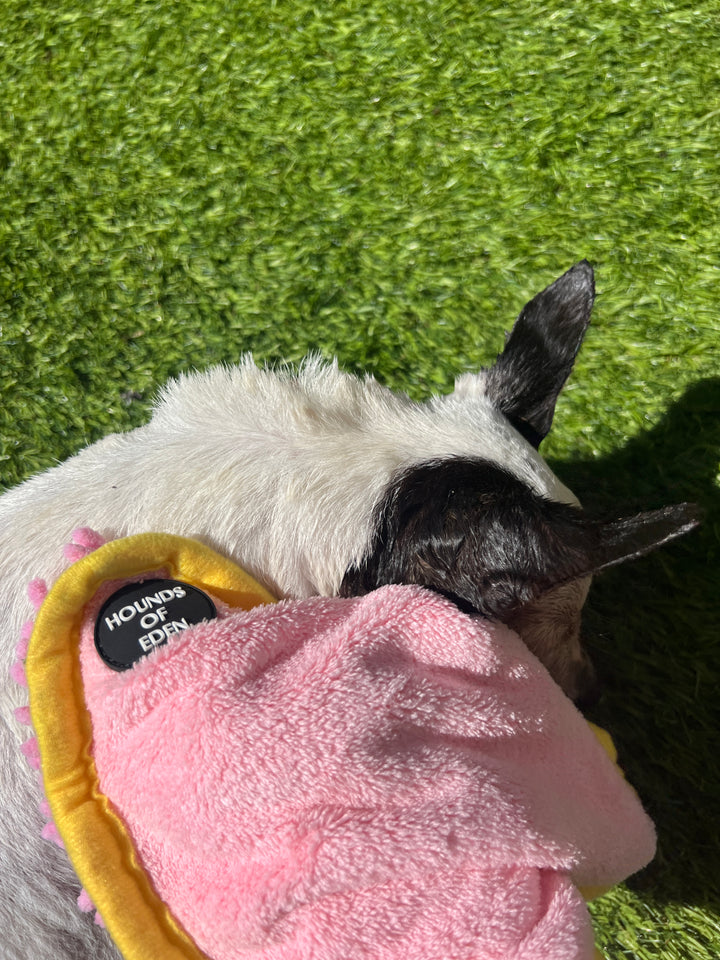 Mini Dog Towel + Clip, Pink & Yellow