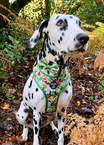 Winter Spruce & Berries Design Dog Bow Tie