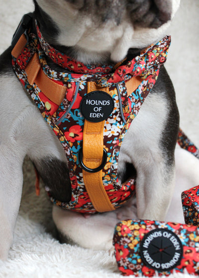 Retro Bloom Dog Supaw Strong Lite™ Harness (XS-XL)