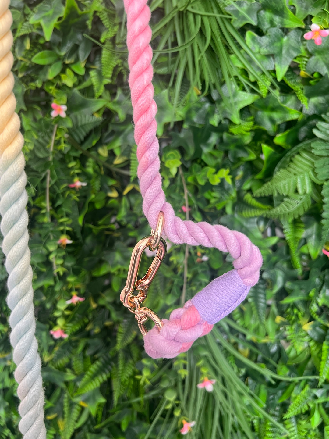 OUTLET- Sample: Ombre Pastel Rainbow Rope training Lead, Double ended Clips, Extra Long, Gold