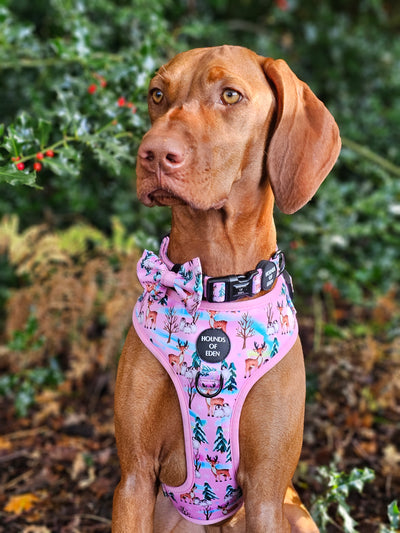 Aurora Nights - Pink Penguin Design Dog Collar