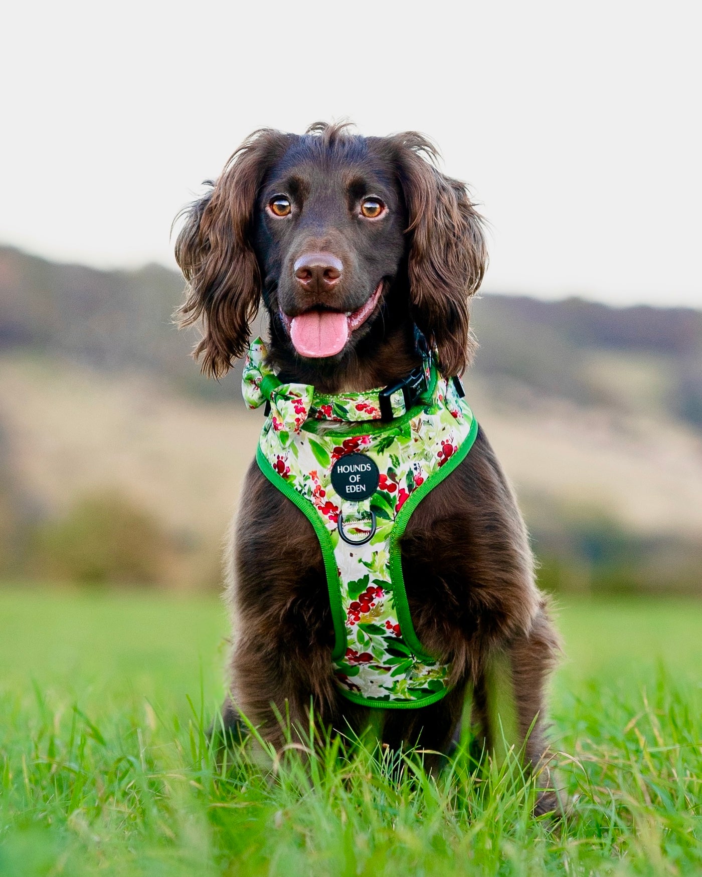 Winter Spruce & Berries Design Dog Bow Tie