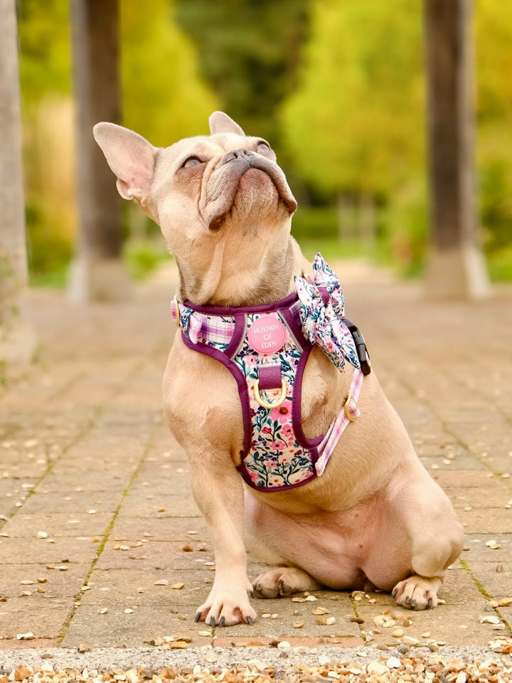 Patchy’s Plum Petals - Supaw Strong™ Dog Harness (XS-XL)