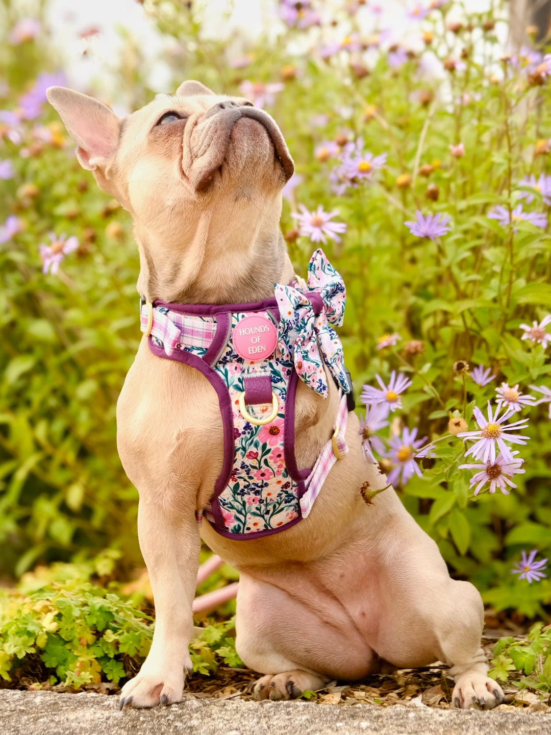 Patchy’s Plum Petals - Dog Sailor Bow Tie