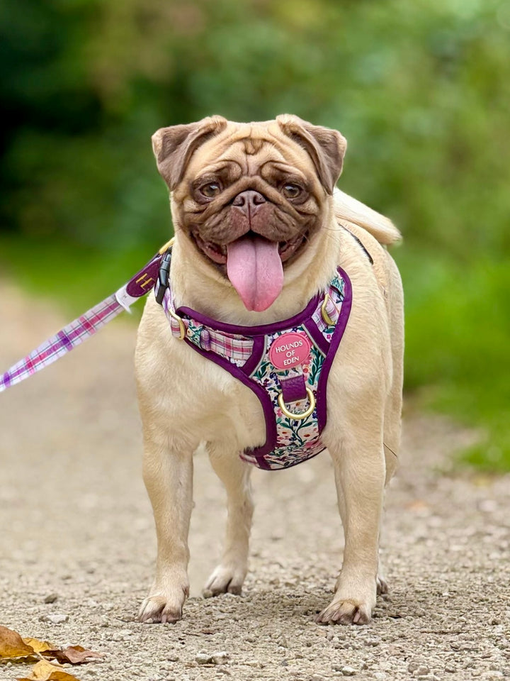 Patchy’s Plum Petals - Supaw Strong™ Dog Harness (XS-XL)