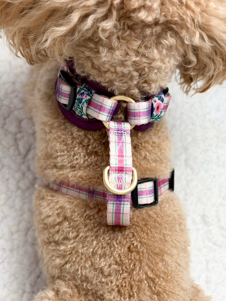 Patchy’s Plum Petals - Dog Harness (XXS-XS)
