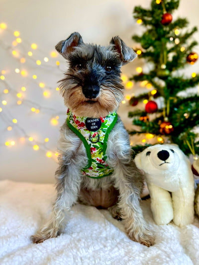 Winter Spruce & Berries Design Dog Collar