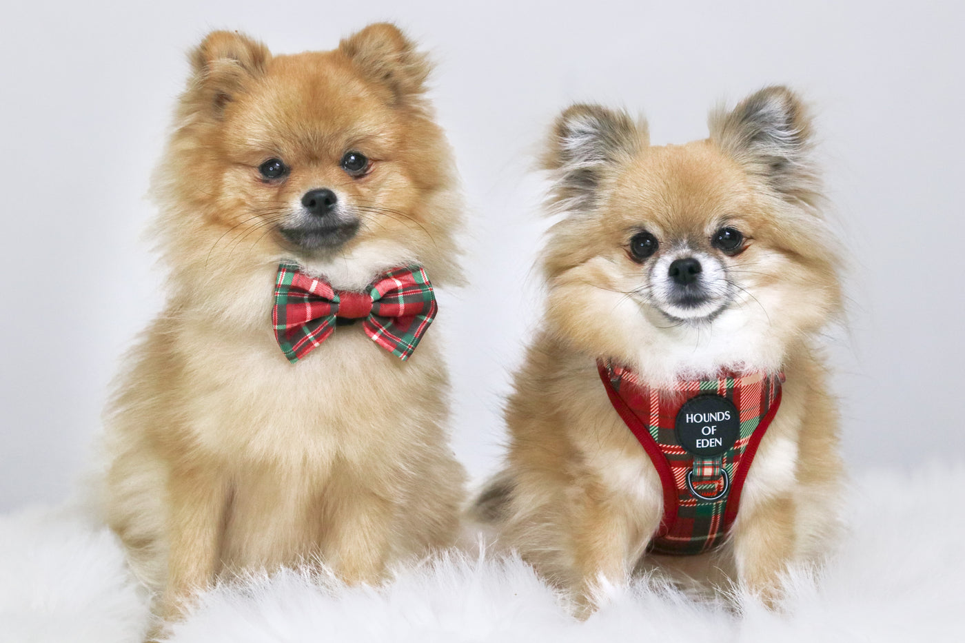 Tartan Me Up - Red & Cream Tartan Design Dog Harness