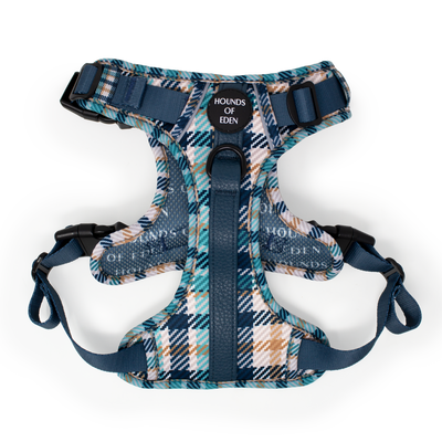 Tealing Smart Leather Dog Collarn