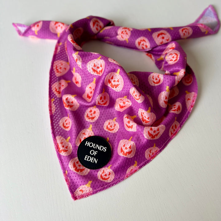 Lilac Grinning Pumpkin Halloween Dog Bandana 🎃