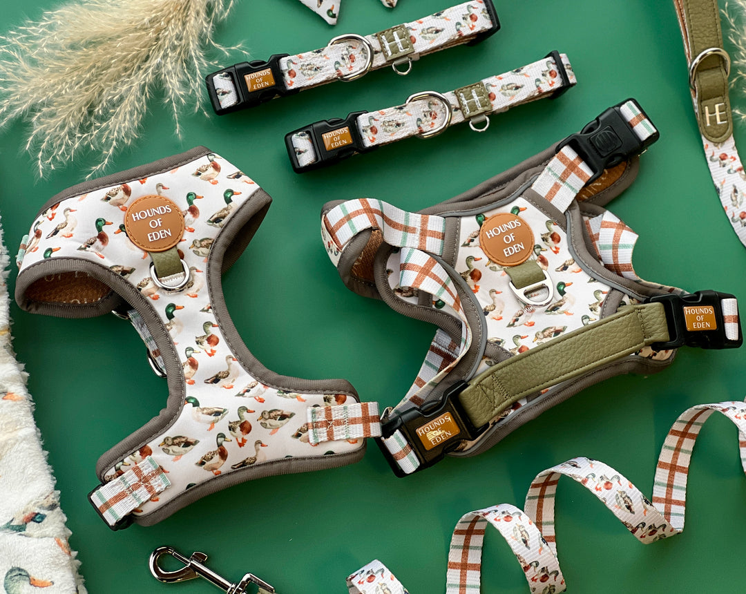 Puddle Ducks - Poop Bag Holder