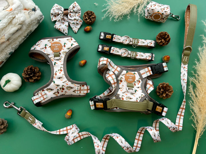 Puddle Ducks - Leather Dog Lead