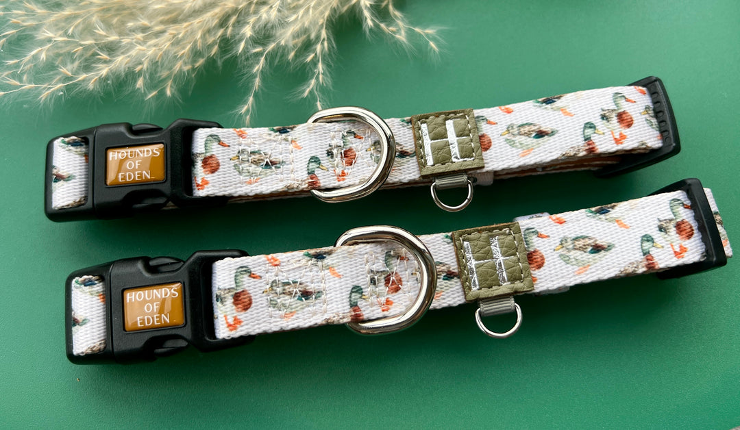 Puddle Ducks - Dog Collar + ID Tag Holder